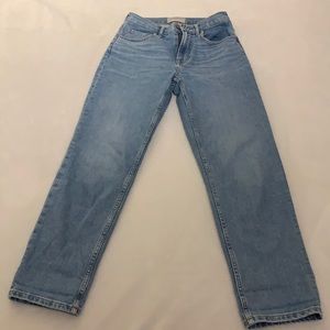 Everlane The Original Cheeky Jean